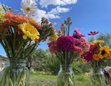Load image into Gallery viewer, 2026 The Corn Lady Calendar Farm Edition