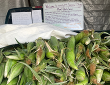 Load image into Gallery viewer, 2026 The Corn Lady Calendar Farm Edition