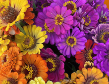 Load image into Gallery viewer, 2026 The Corn Lady Calendar - Flower Edition