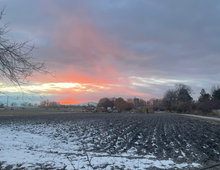 Load image into Gallery viewer, 2026 The Corn Lady Calendar Farm Edition