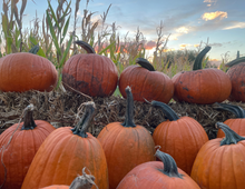 Load image into Gallery viewer, 2026 The Corn Lady Calendar Farm Edition