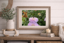 Load image into Gallery viewer, Bee In Flowers Print