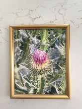 Load image into Gallery viewer, Thistle Print