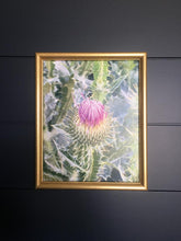 Load image into Gallery viewer, Thistle Print