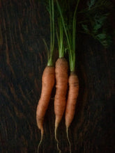 Load image into Gallery viewer, Carrot Print