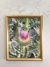 Load image into Gallery viewer, Thistle Print
