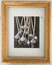 Load image into Gallery viewer, Garlic Print
