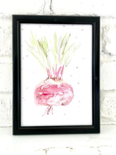 Load image into Gallery viewer, Watercolor Art - Beet 5X7
